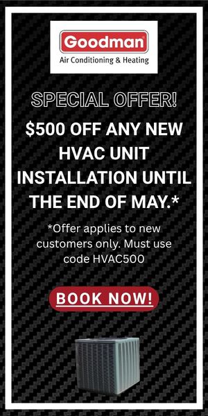 Litsey Special Offer 300x600 Ad (1) (002)